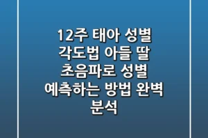 12주 태아 성별 각도법 아들 딸 초음파로 성별 예측하는 방법 완벽 분석