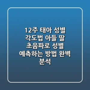 12주 태아 성별 각도법 아들 딸 초음파로 성별 예측하는 방법 완벽 분석