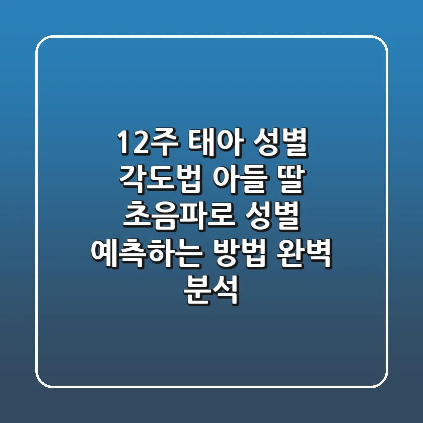 12주 태아 성별 각도법 아들 딸 초음파로 성별 예측하는 방법 완벽 분석