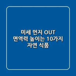 미세 먼지 OUT 면역력 높이는 10가지 자연 식품