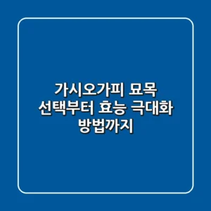 가시오가피 묘목 선택부터 효능 극대화 방법까지! 🌱
