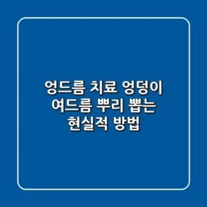 엉드름 치료, 엉덩이 여드름 뿌리 뽑는 현실적 방법