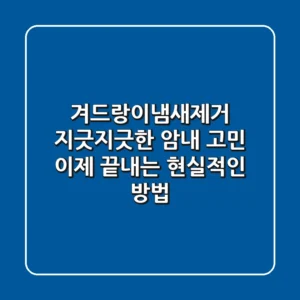 겨드랑이냄새제거, 지긋지긋한 암내 고민 이제 끝내는 현실적인 방법