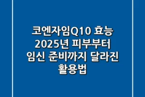 코엔자임Q10 효능, 2025년 피부부터 임신 준비까지 달라진 활용법