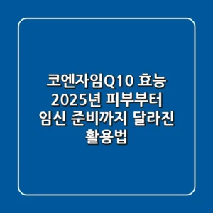 코엔자임Q10 효능, 2025년 피부부터 임신 준비까지 달라진 활용법