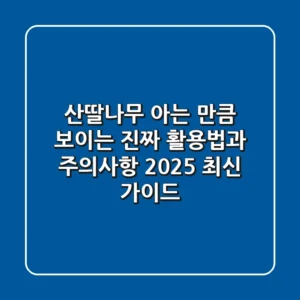 산딸나무, 아는 만큼 보이는 진짜 활용법과 주의사항 (2025 최신 가이드)
