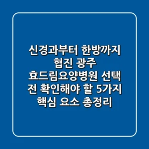"신경과부터 한방까지 협진?", 광주 효드림요양병원 선택 전 확인해야 할 5가지 핵심 요소 총정리