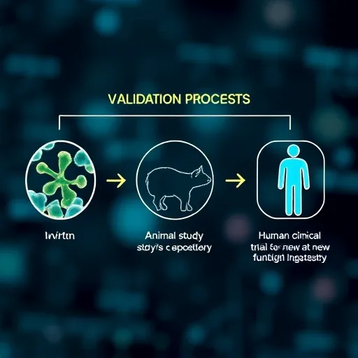 놓치기 쉬운 안전성 및 약물 상호작용 체크리스트 (위험 관리)