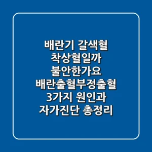 "배란기 갈색혈, 착상혈일까 불안한가요?", 배란출혈·부정출혈 3가지 원인과 자가진단 총정리