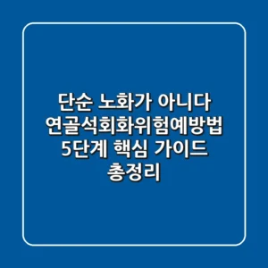 "단순 노화가 아니다", 연골석회화위험예방법 5단계 핵심 가이드 총정리