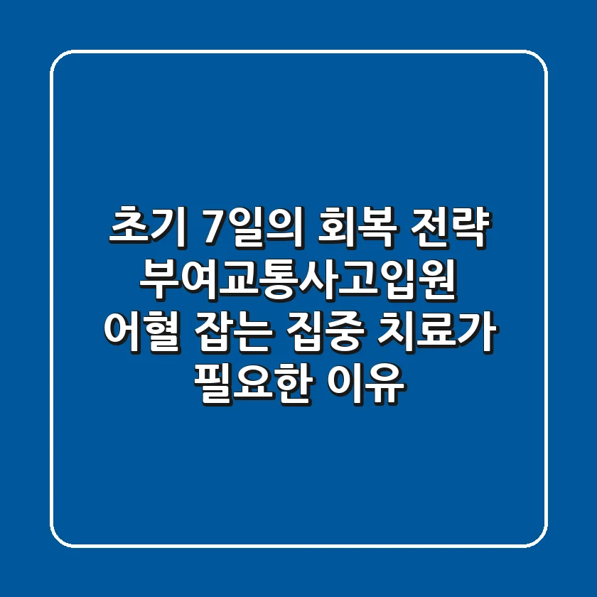"초기 7일의 회복 전략", 부여교통사고입원, '어혈' 잡는 집중 치료가 필요한 이유