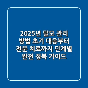 "2025년 탈모 관리 방법", 초기 대응부터 전문 치료까지 단계별 완전 정복 가이드